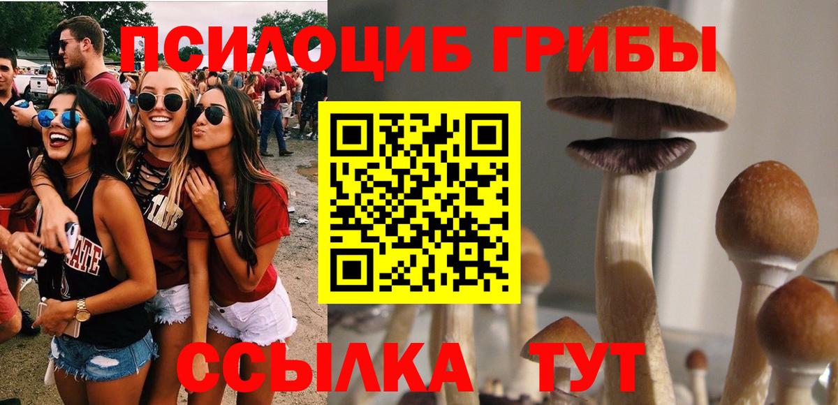 Галлюциногенные грибы Psilocybe Чистополь