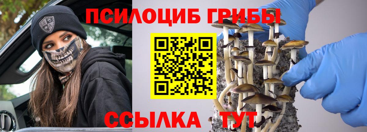 Чистополь  Галлюциногенные грибы мицелий  Вход с VPN 