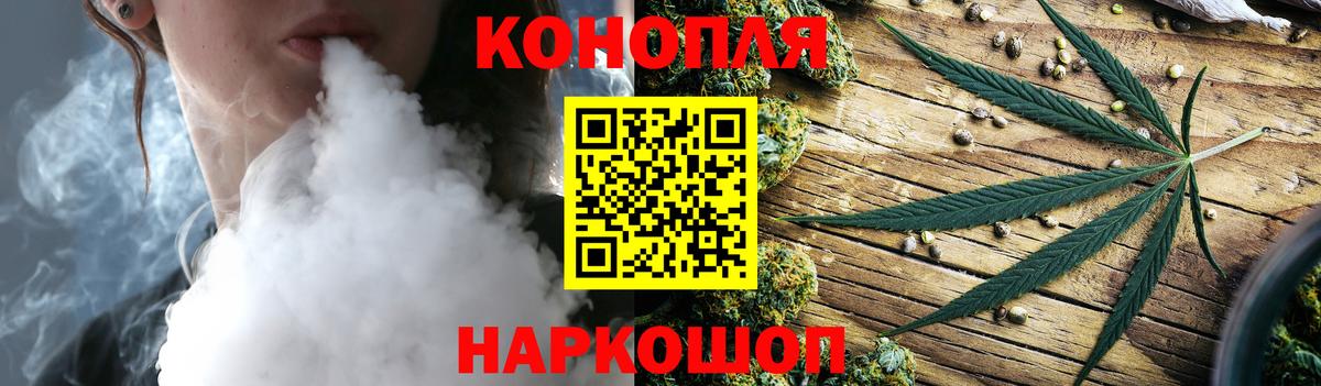МАРИХУАНА сатива Чистополь