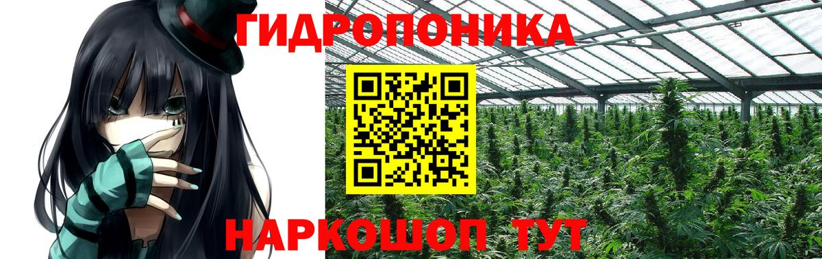 Шишки марихуана Ganja  Вход с VPN  Чистополь  Марихуана OG Kush 